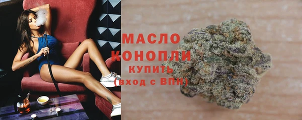 индика Богданович