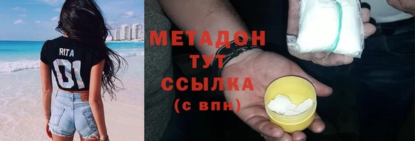 индика Богданович