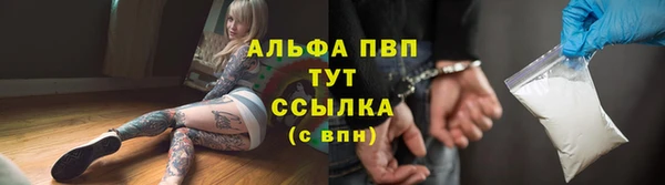индика Богданович