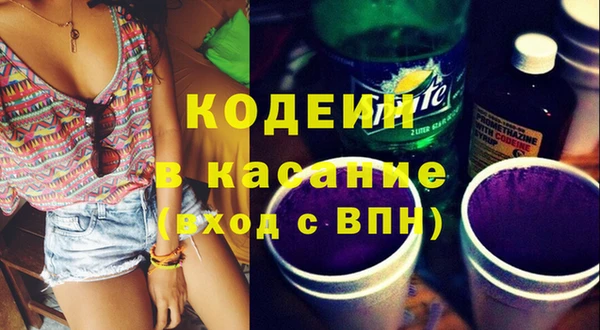 индика Богданович