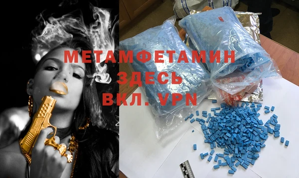 индика Богданович