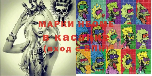 индика Богданович