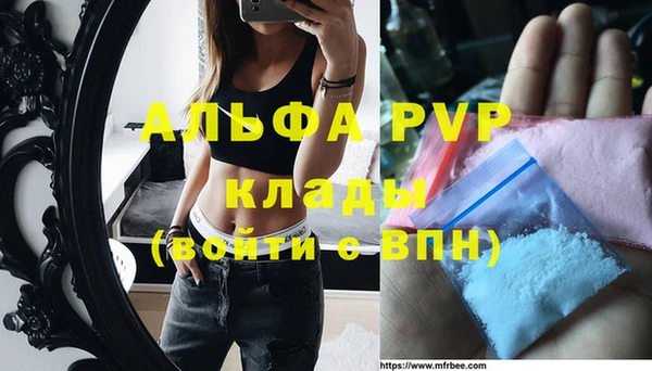 мдпв Богородск