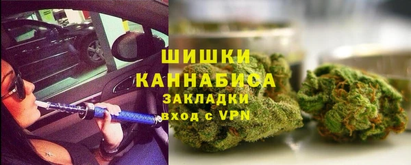 мдпв Богородск
