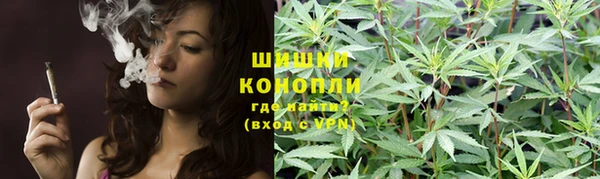 индика Богданович