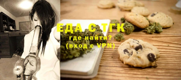 индика Богданович
